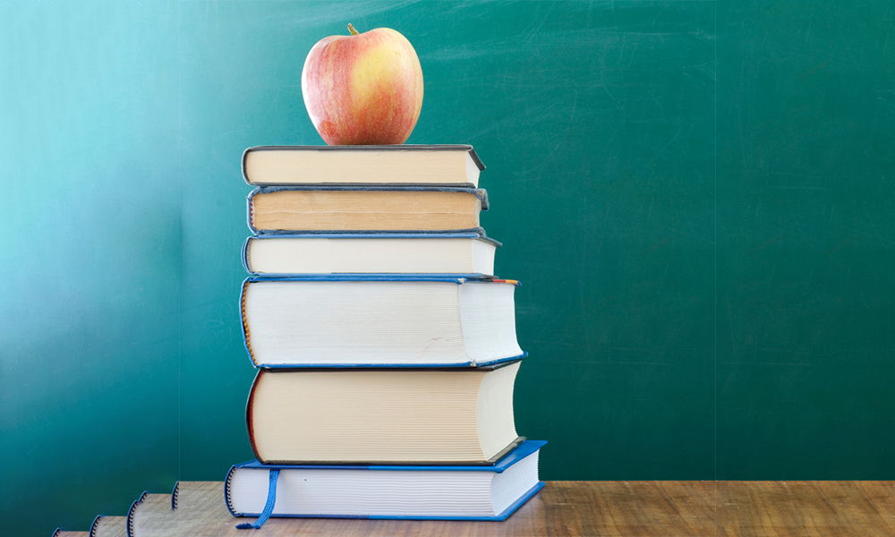 Teacher support